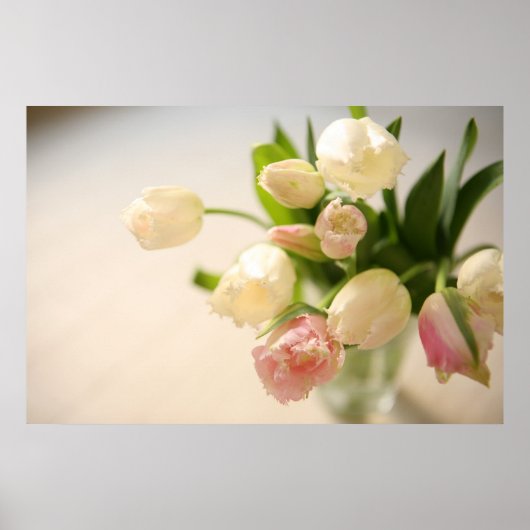 POSTER ュ ー プ (Devant)