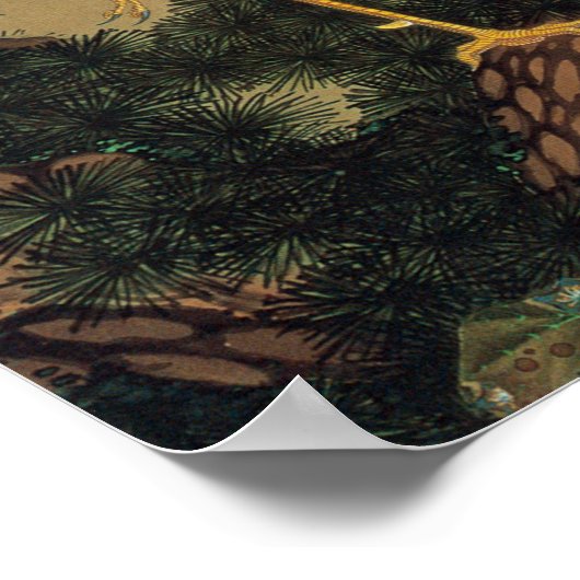 POSTER 動植綵絵(25)老松白鳳図, 伊藤若冲 (Coin)