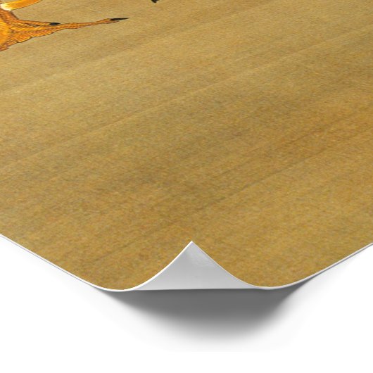 POSTER 動植綵絵(7)大鶏雌雄図, 伊藤若冲 (Coin)