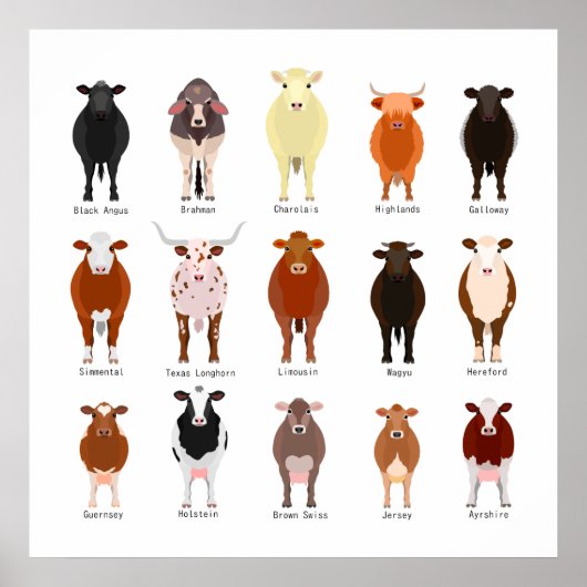 POSTER 牛 の 種 類 一 覧 (Devant)