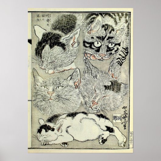 Poster 猫, 暁 斎 Chats, Kyōsai, Ukiyo-e (Devant)