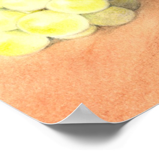 POSTER 私は未成年です (Coin)