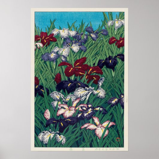 Poster 菖 蒲, Iris, Hasui Kawase, Woodcut (Devant)