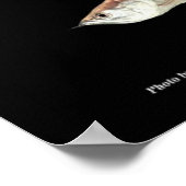 POSTER 飛び出す大型熱帯魚たち,N0.01 (Coin)