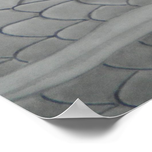 Poster 龍 dragon 水墨画 降り白龍 (Coin)