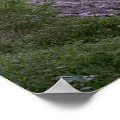 Poster 002 Poster~Blue Ridge Mountains, N.C. (Coin)