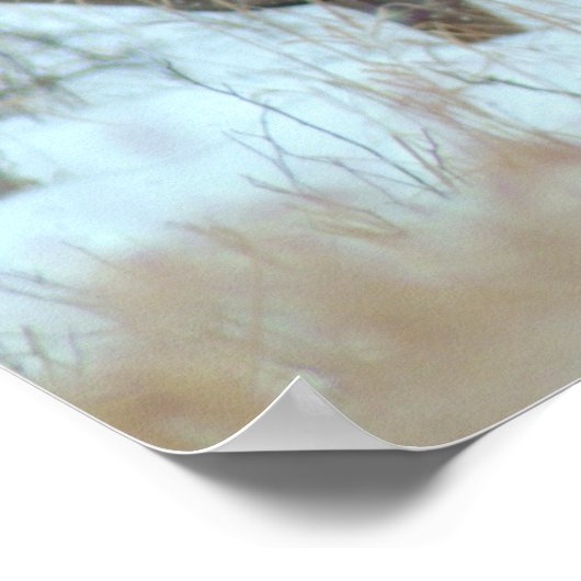 POSTER 011110-57-AWA (Coin)