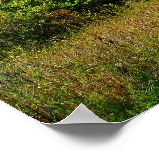 POSTER 100309-295-AWA (Coin)