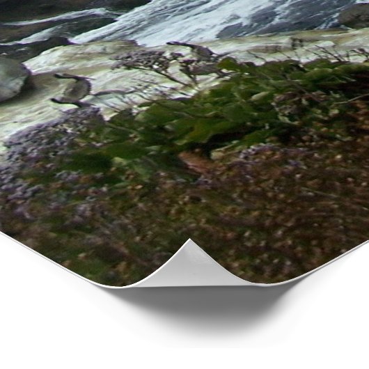 POSTER 100_0878 (Coin)