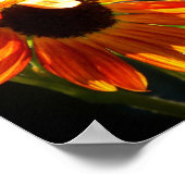 Poster 100_1974, le changement est beau (Coin)