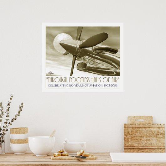 Poster 100e anniversaire de vol (Cuisine)