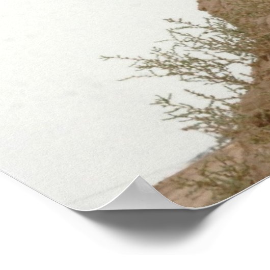 Poster 101e Airborne (Coin)