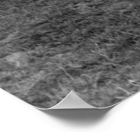 Poster 101e division aéroportée (Coin)