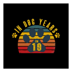 Poster 10 Ans De Chien
