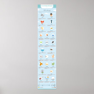 Poster 10 Homonymes déroutants : Partie II