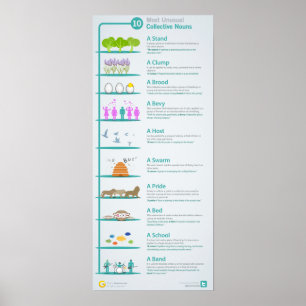 Poster 10 noms collectifs les plus inhabituels révélés et