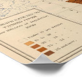 Poster 110 fièvre typhoïde Michigan (Coin)