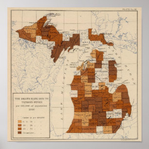 Poster 110 Typhoid fever Michigan