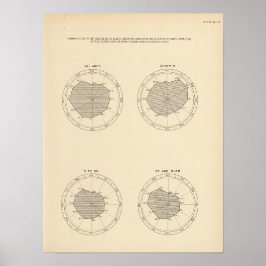 Poster 113 Décès par mois 1900 (Devant)