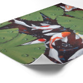 Poster 11 koi (Coin)