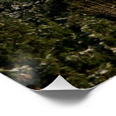 POSTER 12/22/2014 (Coin)