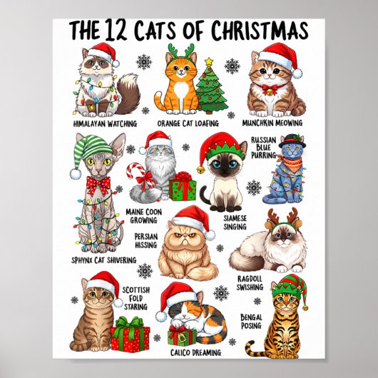 Poster 12 Cats Of Christmas Funny Xmas Cat Lover Holiday  (Devant)