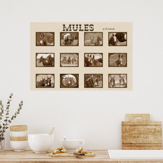 Poster 12 Mules (Cuisine)