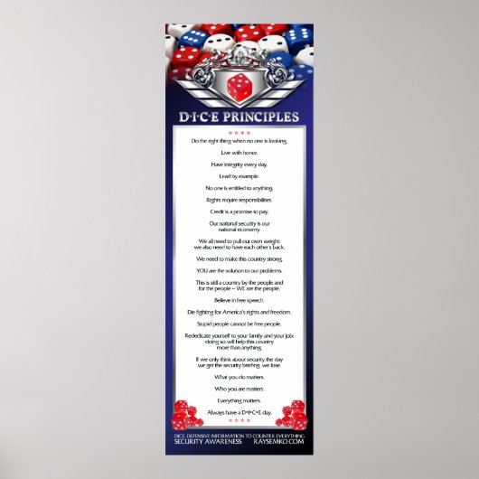 poster 12 x 36-inch DICE-principes (Voorkant)