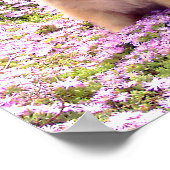 Poster 12x12 Marley de Poméranie avec fleurs roses (Coin)