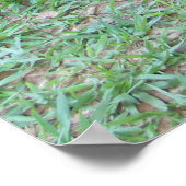 Poster 130cm de altura (Coin)