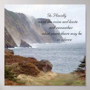 Poster 134, Aller Placidement au milieu du bruit et de la