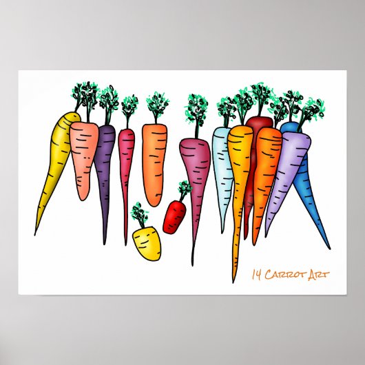 Poster 14 Carottes (Devant)