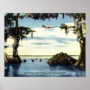Poster 14 x 11 Scène de plongée, Cypress Floride