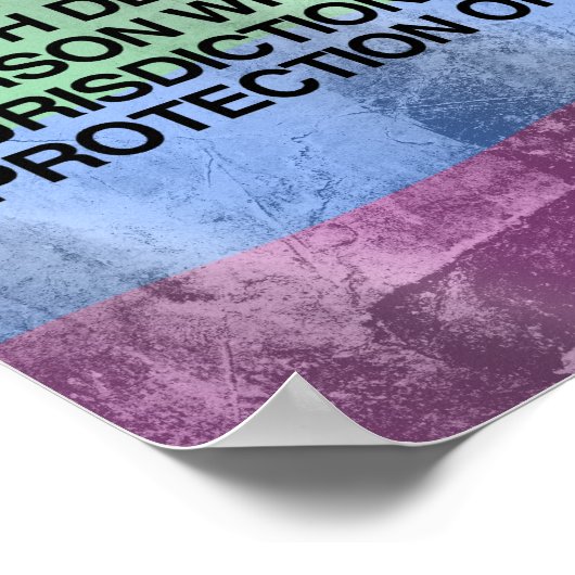 POSTER 14E AMENDEMENT (Coin)