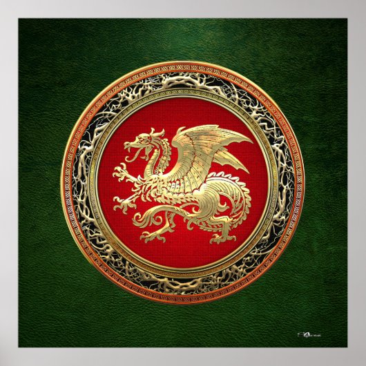 Poster [150] Dragon islandais, Landvæ ttir [Or] (Devant)