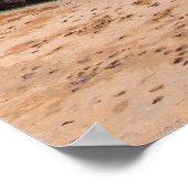 Poster 150 KM à CUBA - KEY WEST FLORIDA (Coin)