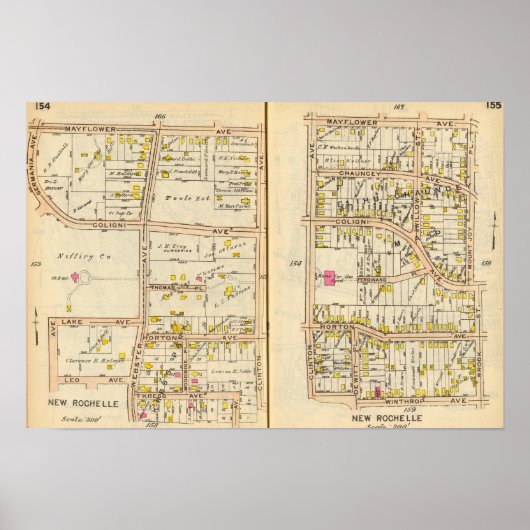 Poster 154155 Nouvelle Rochelle (Devant)