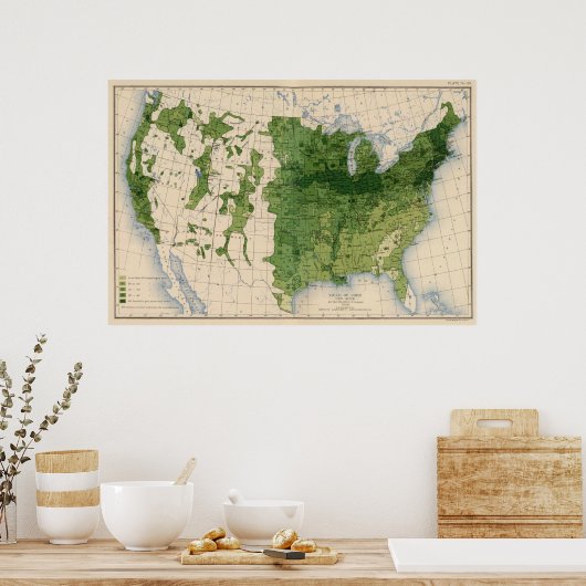 Poster 155 maïs/acre (Cuisine)