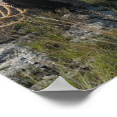 Poster 15693-RA Cowboy (Coin)