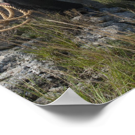 Poster 15693-RA Cowboy (Coin)