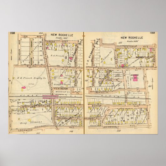 Poster 158159 Nouvelle Rochelle (Devant)