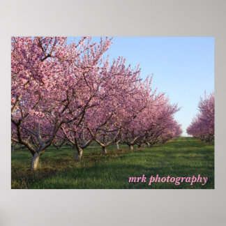 Poster 158, mrk photography