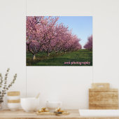 Poster 158, mrk photography (Cuisine)