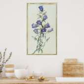 Poster 15:Campanula : Moyen 1787 (Cuisine)