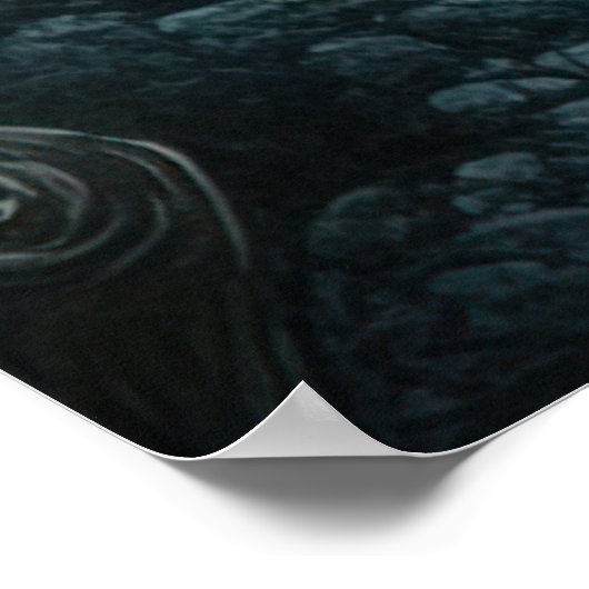 Poster *~* 15 FD3 Enchanter l'Imaginaire de l'esprit nymp (Coin)