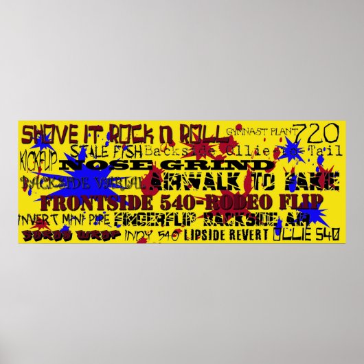 Poster 15.Noms populaires des pistes de skateboard (Devant)