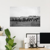 Poster 15e U.S. Cavalry Band, début des années 1900 (Bureau à domicile)