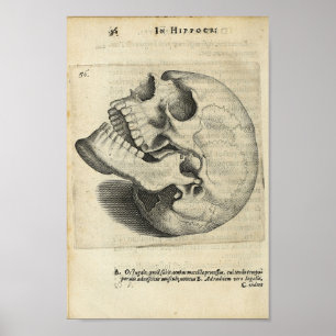 Poster 1616 Anatomie Vintage du crâne Imprimer