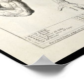 Poster 1691 Anatomie artistique Muscles Arm Art Print (Coin)