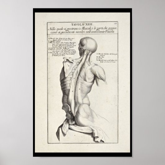 Poster 1691 Anatomie artistique Muscles de dos Art Print (Devant)